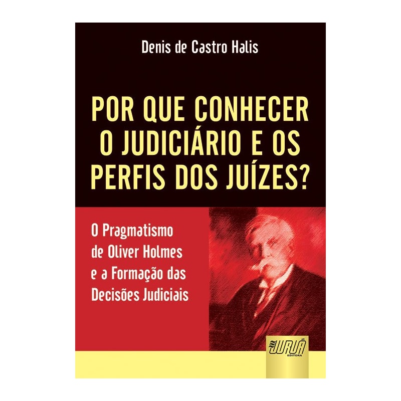 POR QUE CONHECER O JUDICIÁRIO E OS PERFIS DOS JUÍZES? - O PRAGMATISMO DE OLIVER HOLMES E A FORMAÇÃO DAS DECISÕES JUDICIAIS