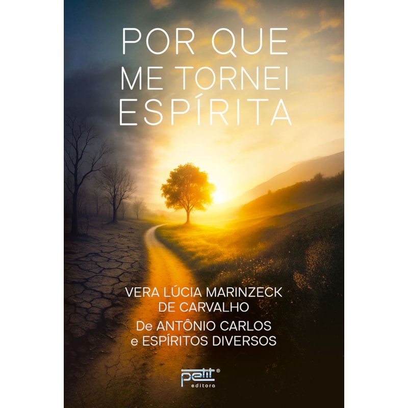 POR QUE ME TORNEI ESPÍRITA