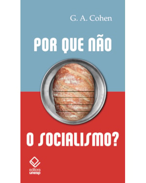 POR QUE NÃO O SOCIALISMO?