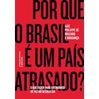 POR QUE O BRASIL É UM PAÍS ATRASADO? - O QUE FAZER PARA ENTRARMOS DE VEZ NO SÉCULO XXI