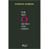 POR QUE O MUNDO NÃO EXISTE