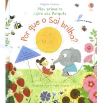 POR QUE O SOL BRILHA?: MEU PRIMEIRO LIVRO DOS PORQUÊS