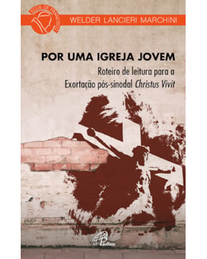 Por uma igreja jovem: roteiro de leitura para exortação pós-sinodal christus vivit