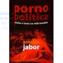 PORNOPOLÍTICA