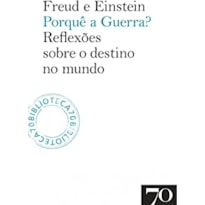 Porquê a guerra?: reflexões sobre o destino no mundo