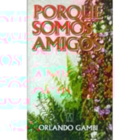 PORQUE SOMOS AMIGOS