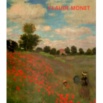 PORTFOLIO  MONET INT