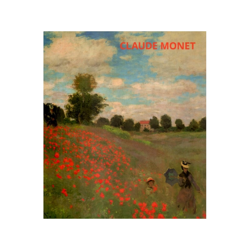 PORTFOLIO  MONET INT