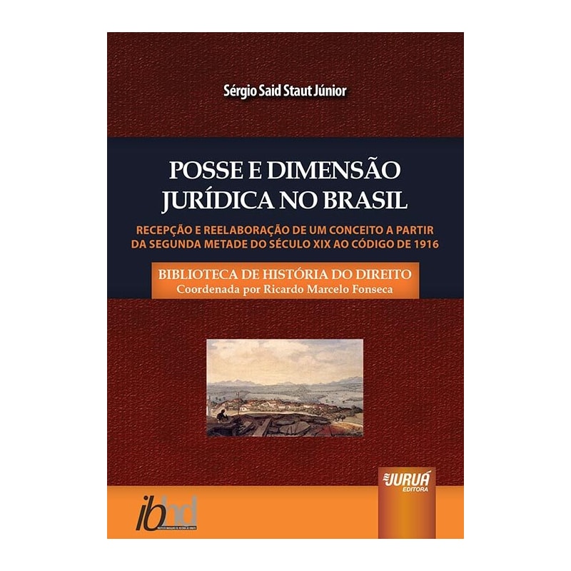 POSSE E DIMENSÃO JURÍDICA NO BRASIL - RECEPÇÃO E REELABORAÇÃO DE UM CONCEITO A PARTIR DA SEGUNDA METADE DO SÉCULO XIX AO CÓDIGO DE 1916 - BIBLIOTECA HISTÓRIA DO DIREITO - COORDENADA POR RICARDO MARCELO FONSECA