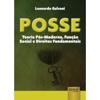 POSSE - TEORIA PÓS-MODERNA, FUNÇÃO SOCIAL E DIREITOS FUNDAMENTAIS