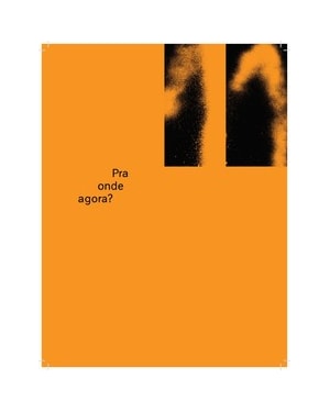 Pra onde agora?: zine Novas Frequências
