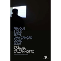 PRA QUE É QUE SERVE UMA CANÇÃO COMO ESSA?: LETRAS DE ADRIANA CALCANHOTTO