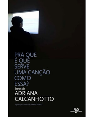 PRA QUE É QUE SERVE UMA CANÇÃO COMO ESSA?: LETRAS DE ADRIANA CALCANHOTTO
