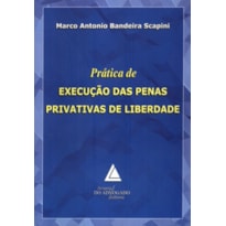 PRÁTICA DE EXECUÇÃO DAS PENAS PRIVATIVAS DE LIBERDADE
