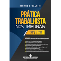 PRÁTICA TRABALHISTA NOS TRIBUNAIS - TRT'S E TST