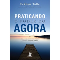 PRATICANDO O PODER DO AGORA: ENSINAMENTOS ESSENCIAIS, MEDITAÇÕES E EXERCÍCIOS DE O PODER DO AGORA