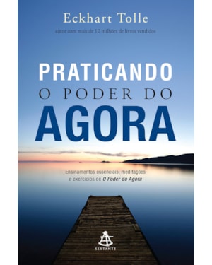 PRATICANDO O PODER DO AGORA: ENSINAMENTOS ESSENCIAIS, MEDITAÇÕES E EXERCÍCIOS DE O PODER DO AGORA