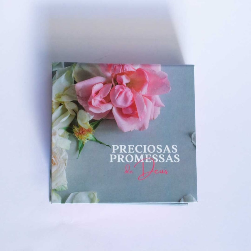 PRECIOSAS PROMESSAS DE DEUS - COM 220 VERSÍCULOS E LETRAS GRANDES - AZUL E ROSA