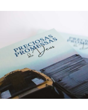 PRECIOSAS PROMESSAS DE DEUS - COM 220 VERSÍCULOS E LETRAS GRANDES - BARCO