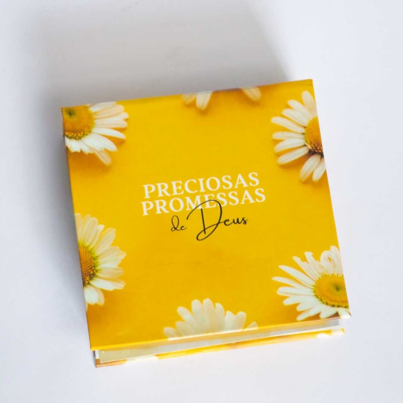 PRECIOSAS PROMESSAS DE DEUS - COM 220 VERSÍCULOS E LETRAS GRANDES - MARGARIDAS