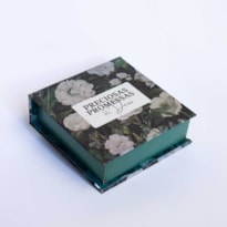 PRECIOSAS PROMESSAS DE DEUS - COM 220 VERSÍCULOS E LETRAS GRANDES - MOD.PP-03