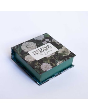 PRECIOSAS PROMESSAS DE DEUS - COM 220 VERSÍCULOS E LETRAS GRANDES - MOD.PP-03