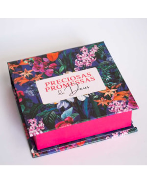 PRECIOSAS PROMESSAS DE DEUS - COM 220 VERSÍCULOS E LETRAS GRANDES - MOD.PP-04