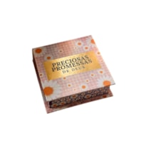 PRECIOSAS PROMESSAS DE DEUS | NA-07 | CAMPONESA