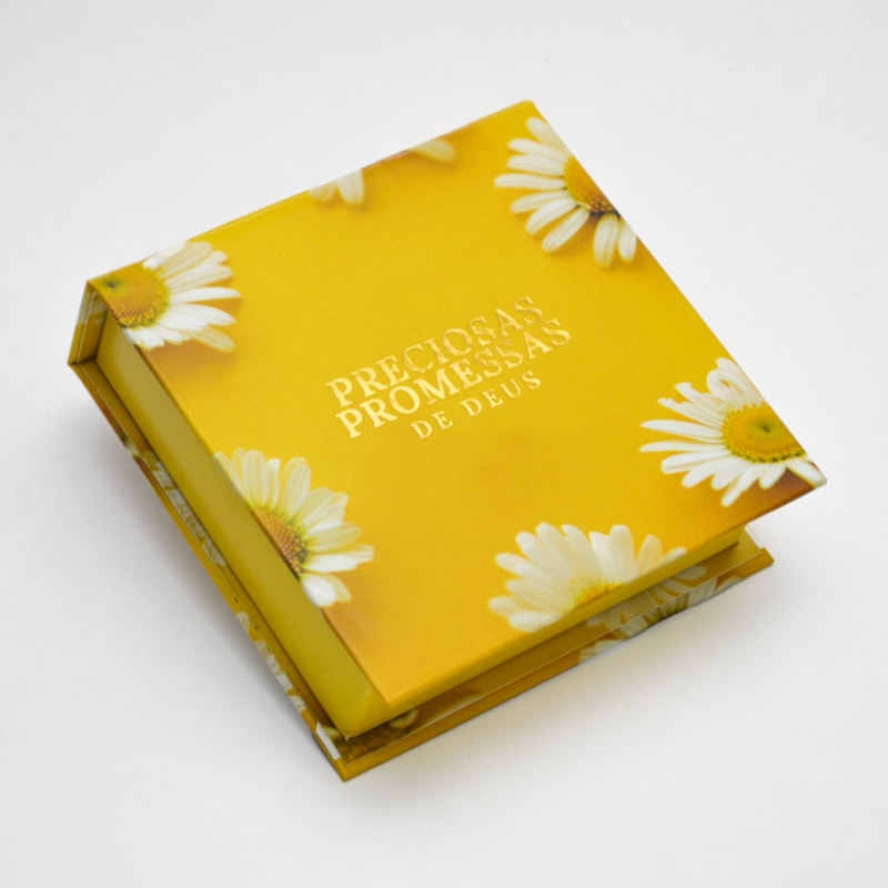 PRECIOSAS PROMESSAS DE DEUS | NG11 | MARGARIDAS