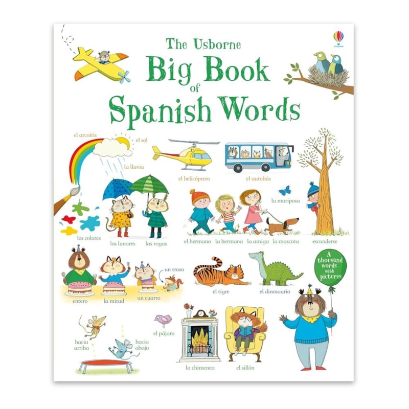 PRIMEIRAS PALAVRAS EM ESPANHOL: BIG BOOK OF SPANISH WORDS