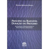 PRINCÍPIO DA RAZOÁVEL DURAÇÃO DO PROCESSO