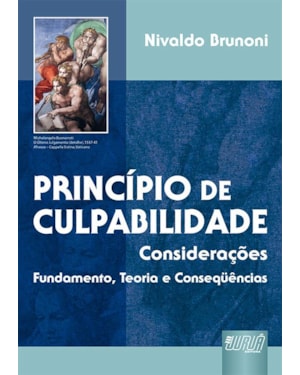 PRINCÍPIO DE CULPABILIDADE - CONSIDERAÇÕES - FUNDAMENTO, TEORIA E CONSIDERAÇÕES