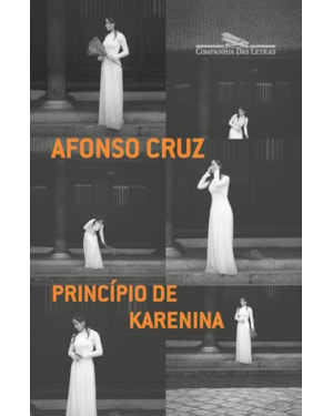 Princípio de karenina