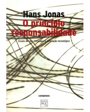 PRINCÍPIO RESPONSABILIDADE, O