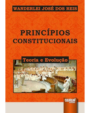 PRINCÍPIOS CONSTITUCIONAIS - TEORIA E EVOLUÇÃO