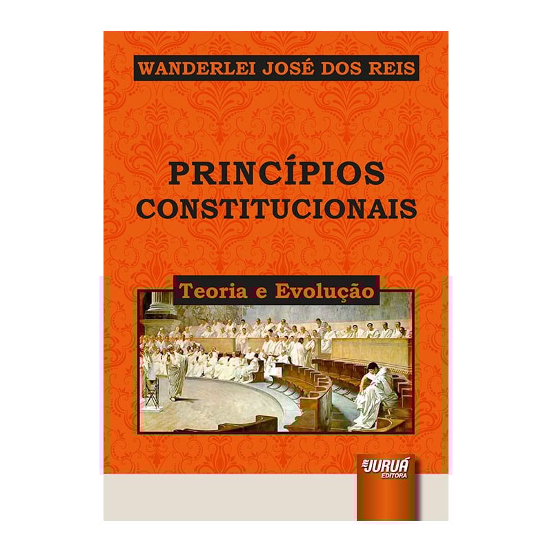 PRINCÍPIOS CONSTITUCIONAIS - TEORIA E EVOLUÇÃO
