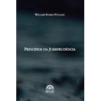 Princípios da jurisiprudência