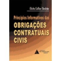 PRINCÍPIOS INFORMATIVOS DAS OBRIGAÇÕES CONTRATUAIS CIVIS