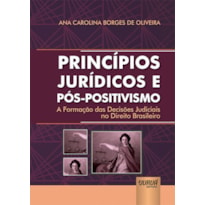 PRINCÍPIOS JURÍDICOS E PÓS-POSITIVISMO - A FORMAÇÃO DAS DECISÕES JUDICIAIS NO DIREITO BRASILEIRO