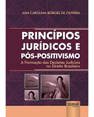 PRINCÍPIOS JURÍDICOS E PÓS-POSITIVISMO - A FORMAÇÃO DAS DECISÕES JUDICIAIS NO DIREITO BRASILEIRO