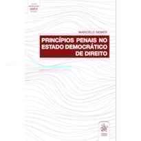 PRINCÍPIOS PENAIS NO ESTADO DEMOCRÁTICO DE DIREITO