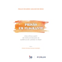 PRISÃO EM FLAGRANTE: UMA CRÍTICA A PARTIR DA INSTITUCIONALIZAÇÃO DA AUDIÊNCIA DE CUSTÓDIA NO BRASIL