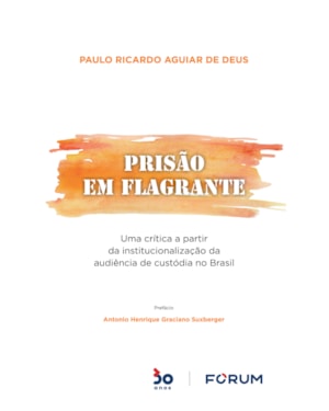Prisão em flagrante: uma crítica a partir da institucionalização da audiência de custódia no Brasil