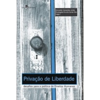 Privação de liberdade: desafios para a política de direitos humanos