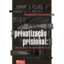 Privatização prisional: limites constitucionais e impactos político-criminais