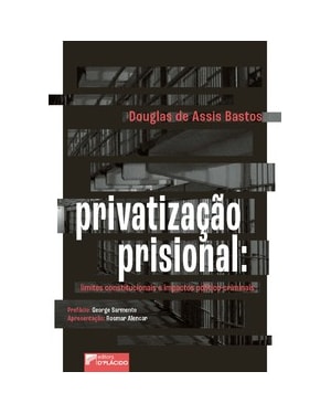 Privatização prisional: limites constitucionais e impactos político-criminais