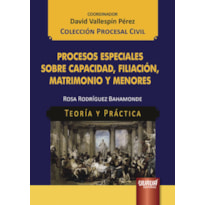 PROCESOS ESPECIALES SOBRE CAPACIDAD, FILIACIÓN, MATRIMONIO Y MENORES - TEORÍA Y PRÁCTICA - COLECCIÓN PROCESAL CIVIL - COORDINADOR: DAVID VALLESPÍN PÉREZ