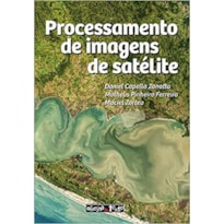 PROCESSAMENTO DE IMAGENS DE SATÉLITE