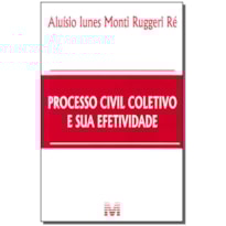 PROCESSO CIVIL COLETIVO E SUA EFETIVIDADE - 1 ED./2012