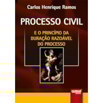 PROCESSO CIVIL - E O PRINCÍPIO DA DURAÇÃO RAZOÁVEL DO PROCESSO